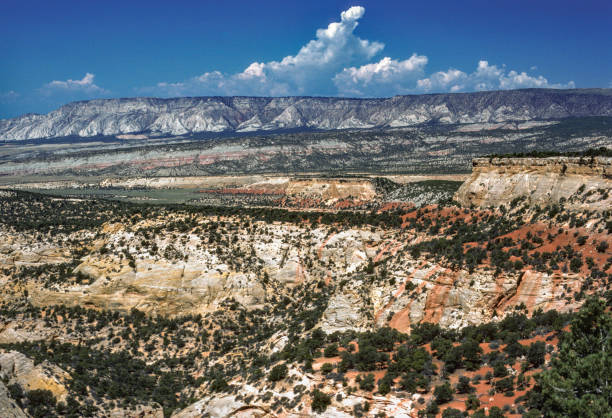 istock Dinosaur National Monument - Canyon Country View - 1986 1164758969