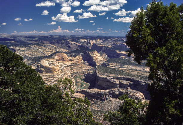istock Dinosaur National Monument-View Into Canyons-1986 1164759018