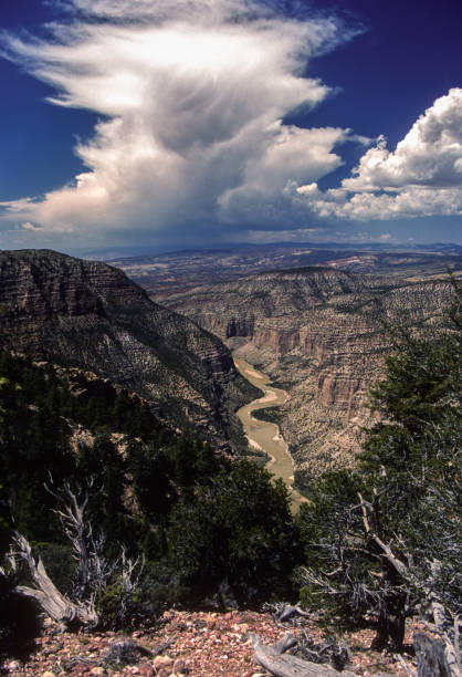 istock Dinosaur National Monument-Canyon, River & Thunderhead-1986 1164759062