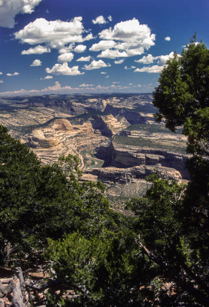 istock Dinosaur National Monument-Vertical View Into Canyons-1986 1164759116