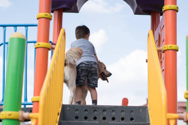 istock Happy child playing in playground with his dog 1164759431