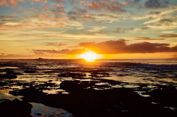 istock Surfing in Atlantic ocean in bright colorful sunset lights 1164760062