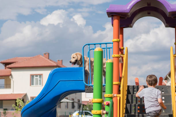 Happy child playing in playground with his dog