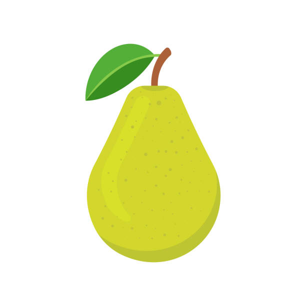 illustrazioni stock, clip art, cartoni animati e icone di tendenza di pera isolata su sfondo bianco. illustrazione vettoriale. - two pears