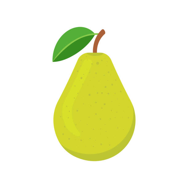 흰색 배경에 고립 된 배. 벡터 그림입니다. - two pears stock illustrations