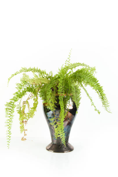 istock Vintage metal vase on white 1164760286