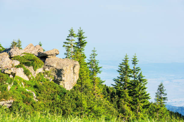 istock beautiful summer scenery of fagaras mountains 1164762175