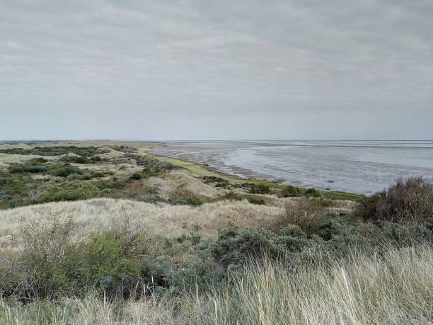 istock Huge lake with view on sea 1164763789