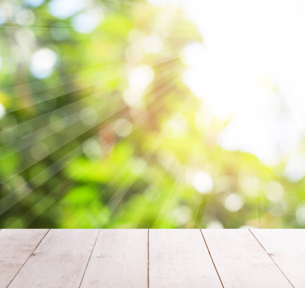 istock Abstract blurred greenery foliage and white wooden table with sun light 1164764640