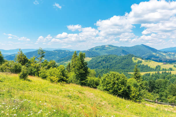 istock wonderful summer afternoon in mountains 1164764987