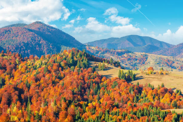 istock wonderful autumn afternoon in mountains 1164765868