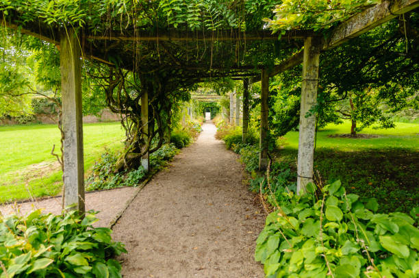 istock Long pergola in a public park 1164765933