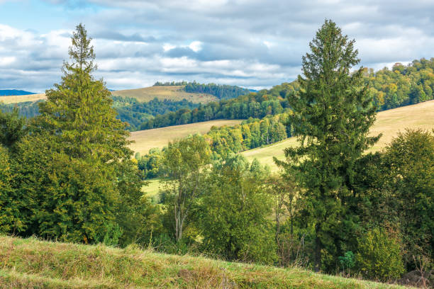 istock beautiful countryside in early autumn 1164766282