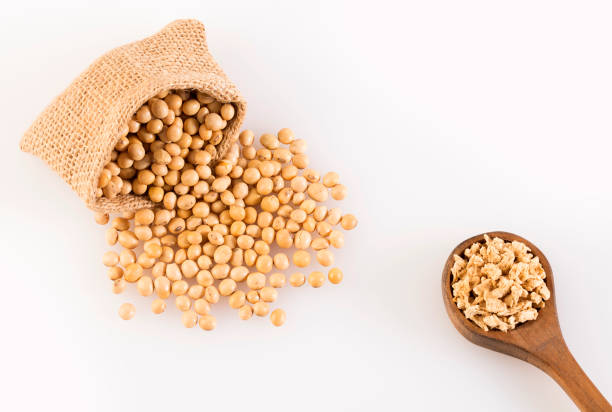 istock Glycine max - Organic soy beans 1164767406