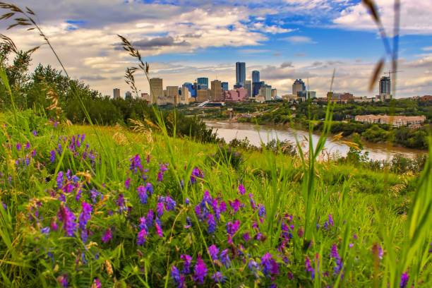 letnia panorama miasta - north saskatchewan river zdjęcia i obrazy z banku zdjęć