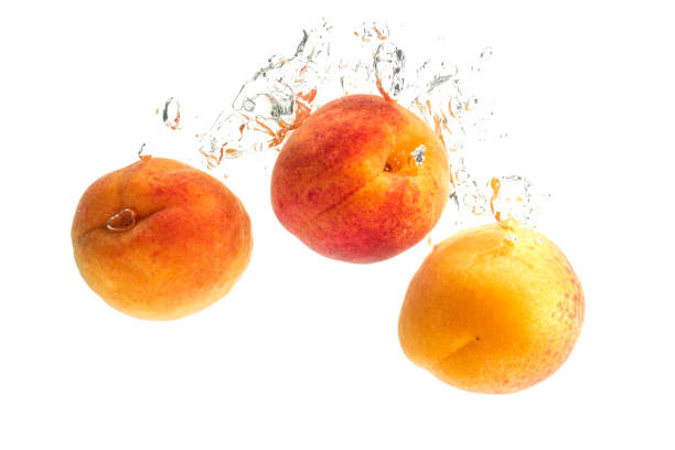 istock Fresh Apricots with water splash isolated over white background 1164770145
