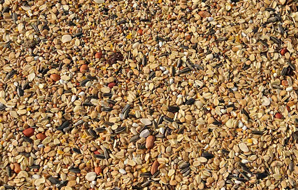Mixed seeds,peanuts and grains for wild birds in the winter season.