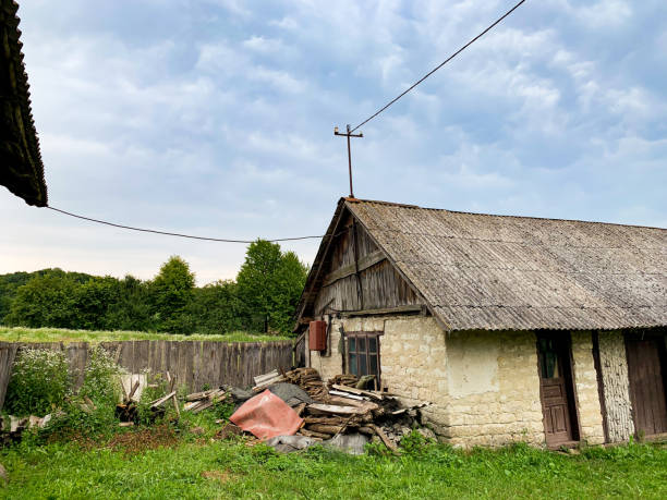 istock Forgotten building surrounded by trees and full grown up plant 1164781356