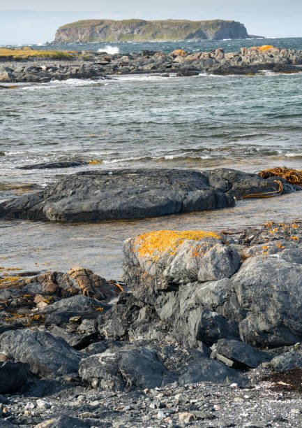 istock Rocky coast and orange algae near L'Anse aux Meadows, Newfoundland, Canada 1164785272