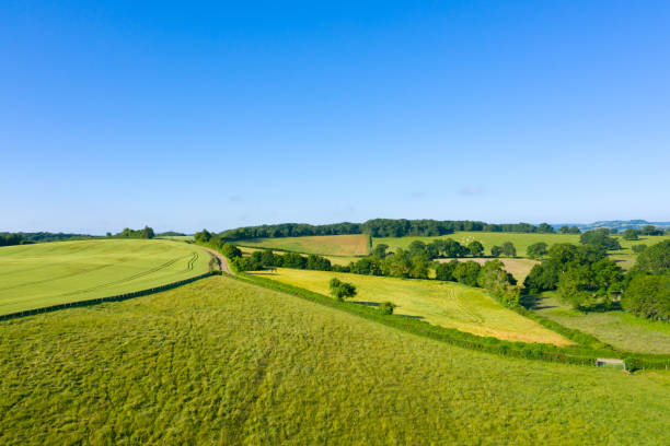 istock The French countryside, forests, fields and roads 1164786198