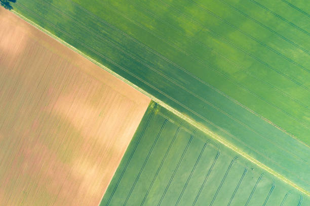 istock The French countryside, fields and roads 1164788614