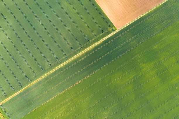 istock The French countryside, fields and roads 1164788703