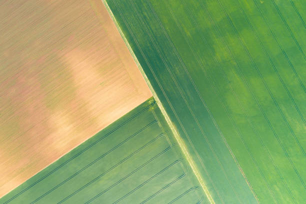 istock The French countryside, fields and roads 1164788771