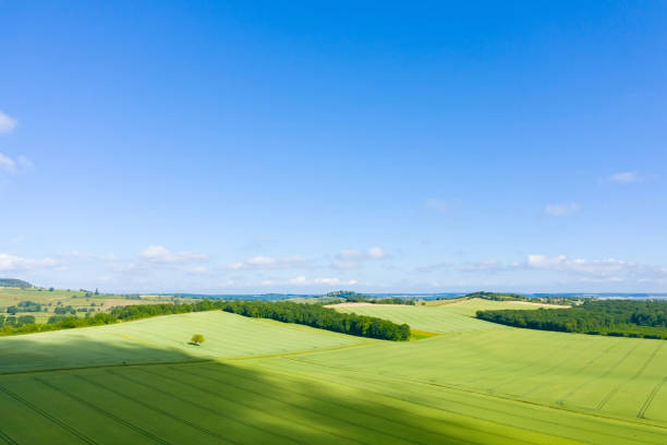 istock The French countryside, forests, fields and roads 1164792813