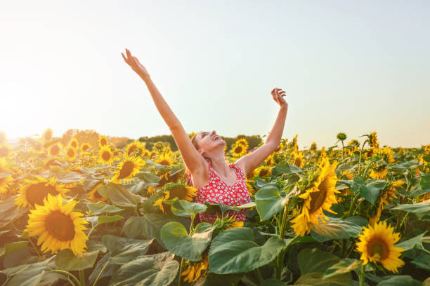 istock Happy woman in sunflower field 1164793630