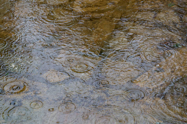 istock Rain drops splashing on the surface of water in a puddle texture background 1164794763