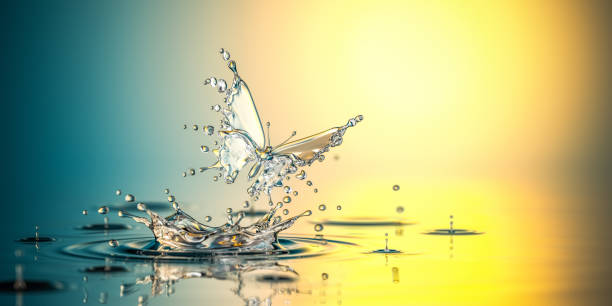 Water Butterfly. The birth of the life Water butterfly. A new life. The birth of the life. Concept. 3D Render simile pic stock pictures, royalty-free photos & images