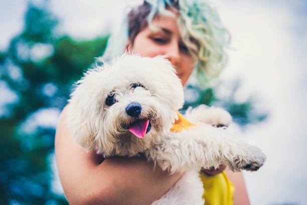 istock Young woman carrying her dog 1164803077
