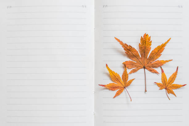 Blank note book paper texture line pattern background for handwriting with colorful autumn leaves frame