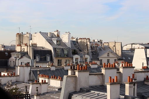 view over the roofs of paris with eiffel tower in the background