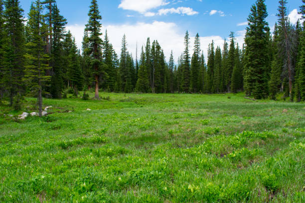 istock Rocky Mountain National Park 1164805618