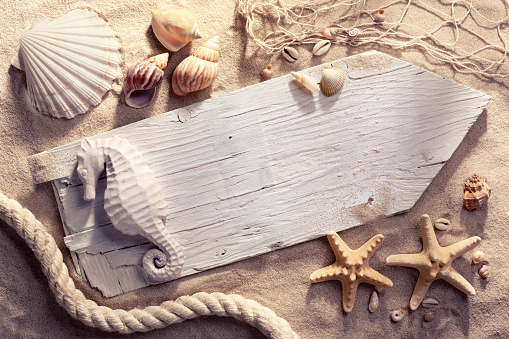 Summer travel and vacation concept with shells, starfishes and an old weathered wooden sign.