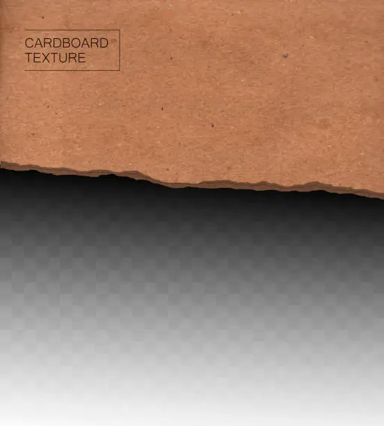 Vector illustration of cardboard texture