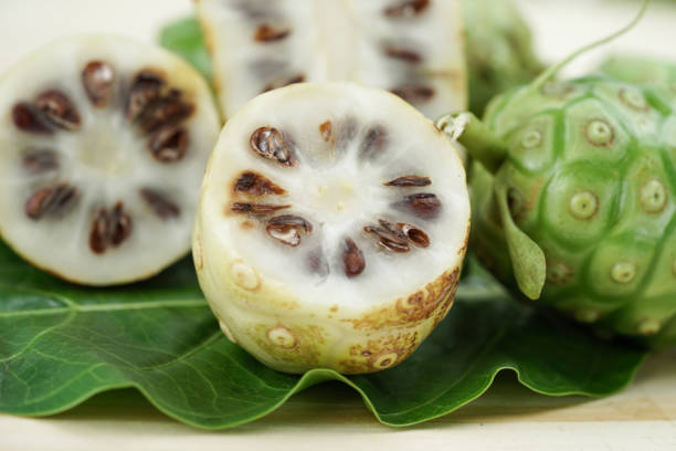 Noni or Morinda Citrifolia fruits