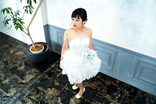 Wedding dress bride