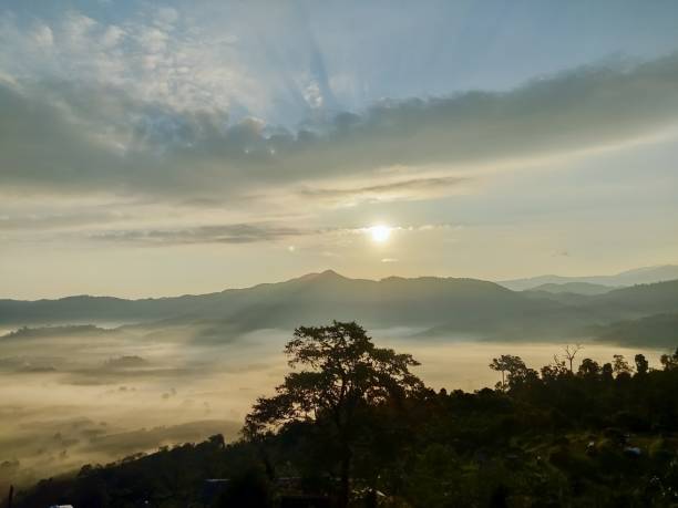istock Clouds and mist covered at the top of the mountain. 1164815502