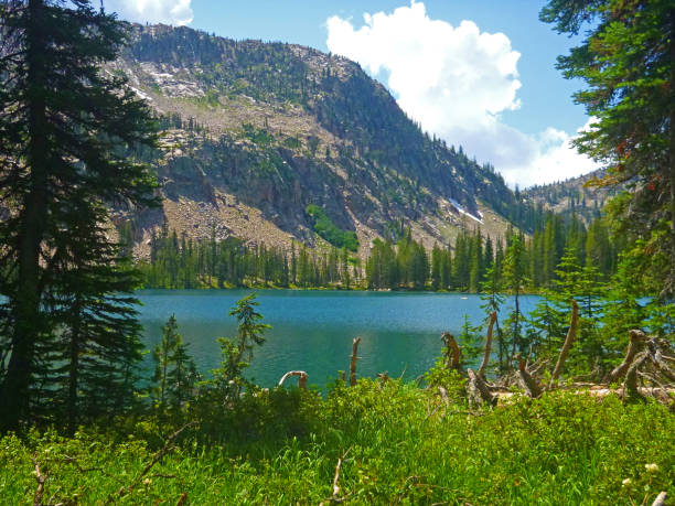 istock Soft View of the Cramer Lakes area 1164815517