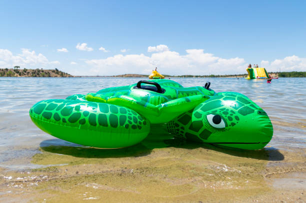 Turtle Blowup Toy Summer Swimming Recreation Area at a Public Lake This photo was taken at Farmington Lake in Farmington, New Mexico.  This is a public lake with an area dedicated to swimming and playing with water toys including this blow up turtle. blow up doll stock pictures, royalty-free photos & images