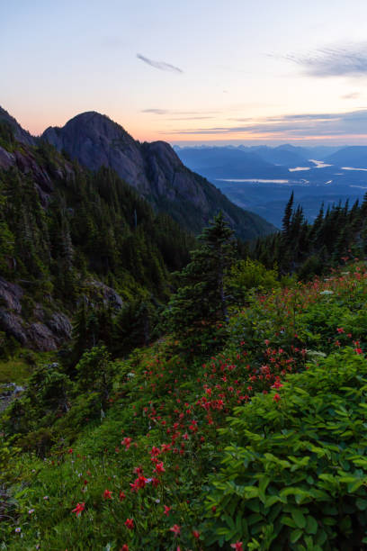 istock Canadian Mountain Landscape 1164816473