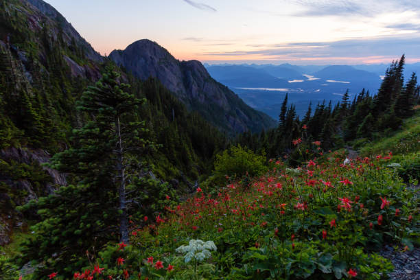istock Canadian Mountain Landscape 1164816483