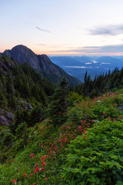 istock Canadian Mountain Landscape 1164817026