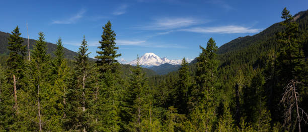 istock Mt Rainier National Park 1164817230