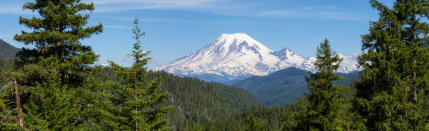 istock Mt Rainier National Park 1164817338