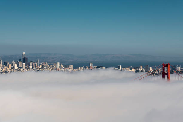 istock Golden Gate foged in 1164818456