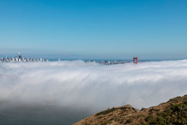 istock Golden Gate foged in 1164818514