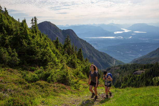 istock Adventurous Friends Hiking in the Mountain 1164818560